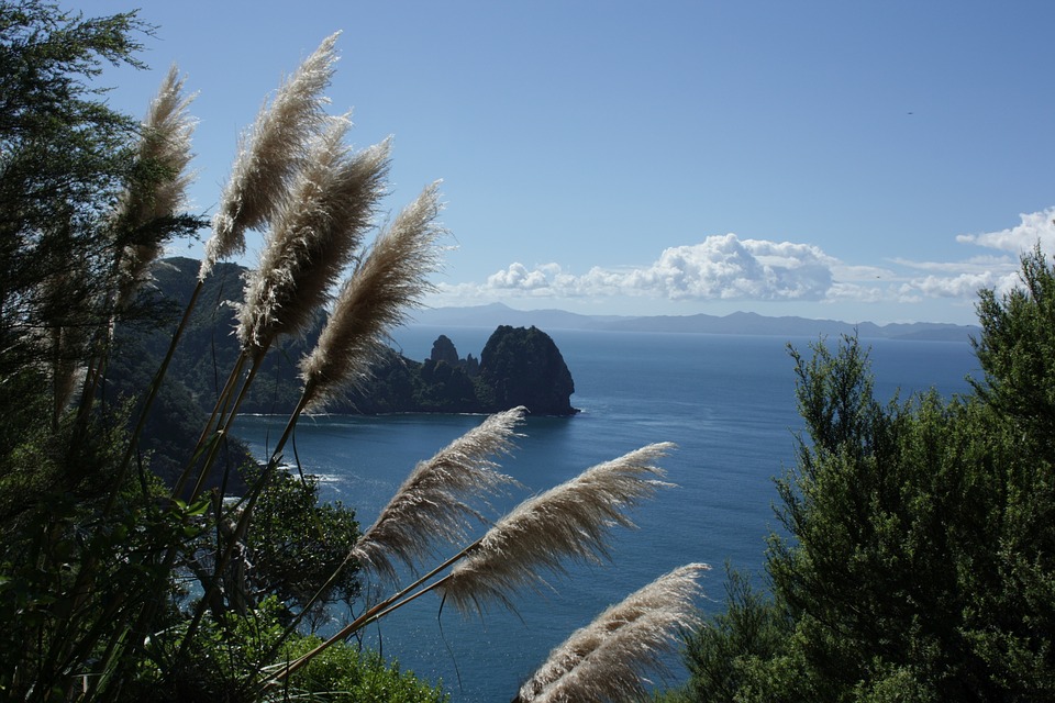 new zealand coromandel